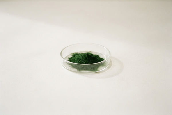 Chlorella vulgaris, the green microalga grown for the microbiome active in every formula.