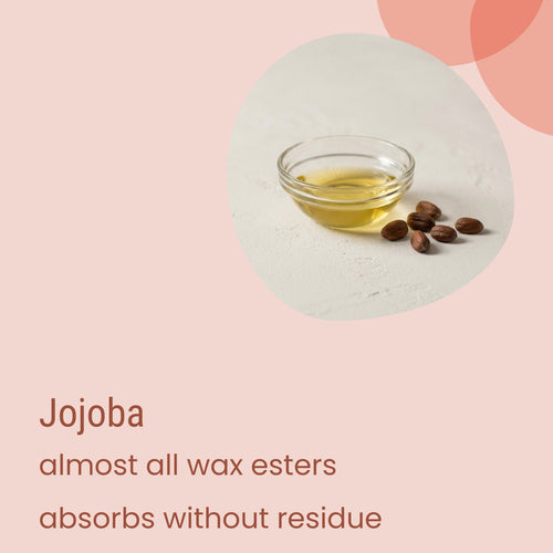 A small glass bowl of jojoba oil with jojoba seeds beside it is pictured above text highlighting the rapid absorption and wax ester content of Biotaderm’s Core Dry Everyday Moisturiser, making it an excellent plant oil-based choice for dry skin or as a nourishing body moisturiser.