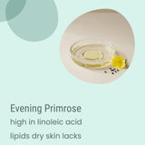 A glass dish with evening primrose oil, a yellow flower, and seeds on a light surface. Text reads: “Biotaderm Core Dry Sensitive Everyday Moisturiser—formulated with evening primrose plant oil, high in linoleic acid lipids, ideal for dry sensitive skin.”.