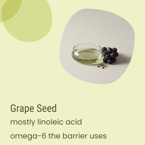 A small glass bowl of grape seed oil, a cluster of dark grapes, and grape seeds are arranged on a light surface alongside text highlighting Core Oily Everyday Moisturiser by Biotaderm. This lightweight moisturiser is enriched with linoleic acid and omega-6 from grape seed oil, making it especially suitable for those with oily skin.