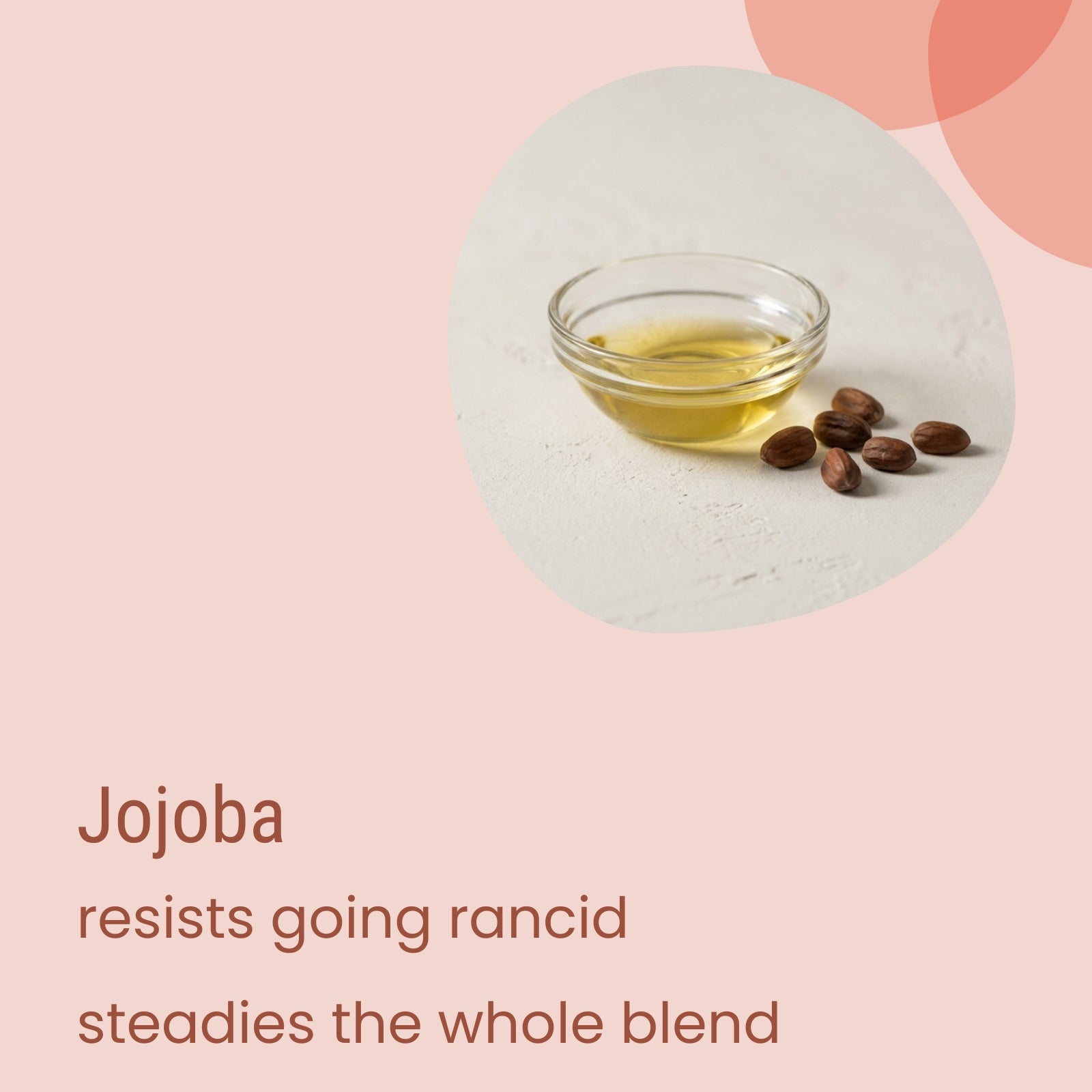 A small glass bowl of jojoba oil sits beside several brown jojoba seeds; text highlights Biotaderm’s Deep Dry Rich Moisturiser, renowned for its stability and resistance to rancidity, making it an excellent plant-derived moisturizer—perfect for nourishing dry skin.