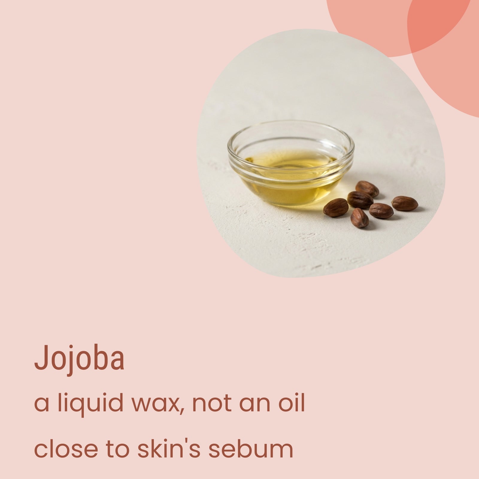A small glass bowl of golden liquid with several brown jojoba seeds beside it, labeled “Flow Dry Light Moisturiser by Biotaderm: made with jojoba, a liquid wax—not an oil—close to skin’s sebum; a light facial moisturiser often preferred over other plant oils.”.