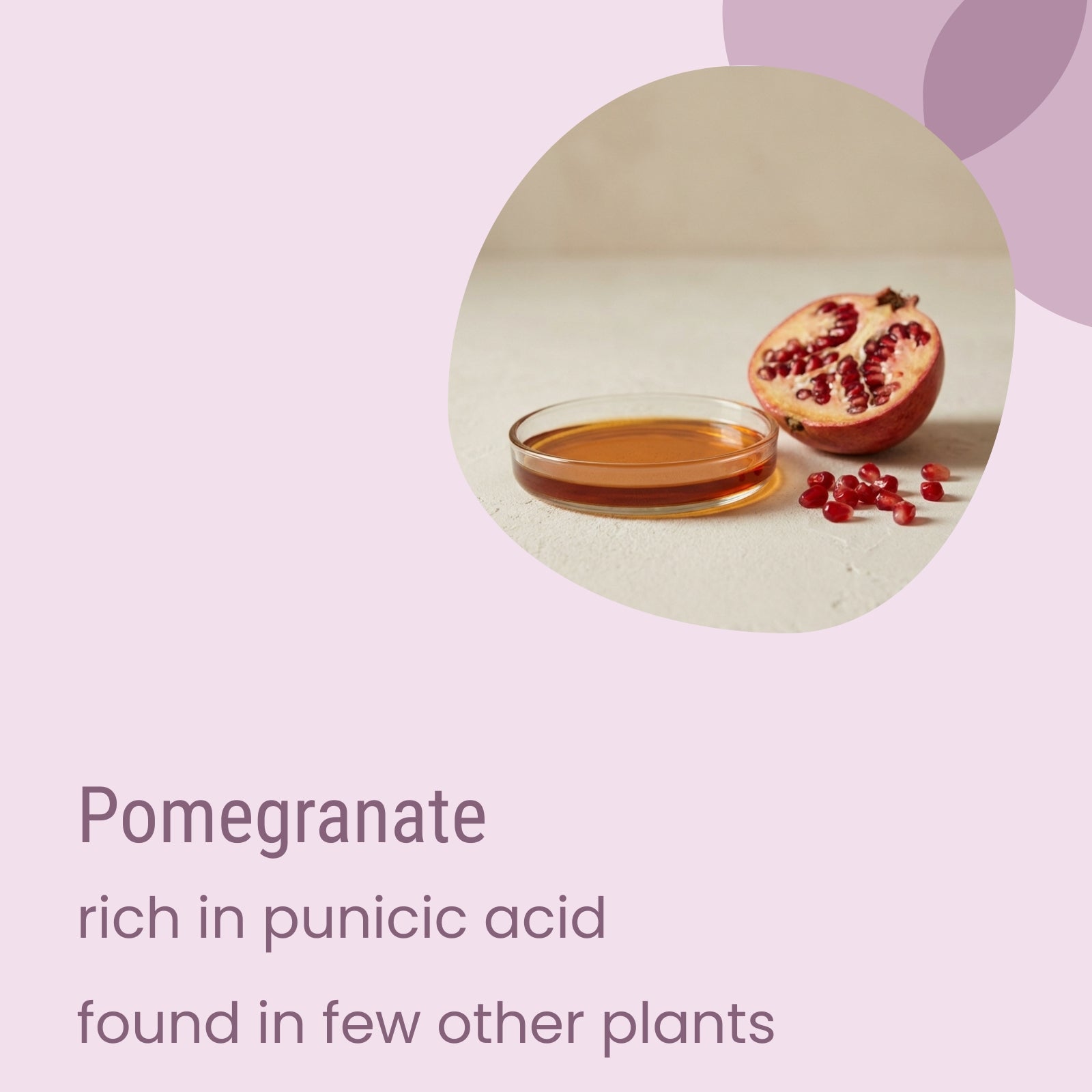 A half-pomegranate and a dish of oil sit on a light surface. Text below reads: “Flow Oily Sensitive Light Moisturiser by Biotaderm—powered by pomegranate, rich in punicic acid rarely found in other plant oils.”.