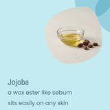 A small glass bowl filled with yellow Core Balanced Everyday Moisturiser by Biotaderm is shown alongside several brown jojoba seeds on a light surface, with descriptive text highlighting how this plant-based oil delivers ideal hydration for balanced skin thanks to jojoba’s natural compatibility.