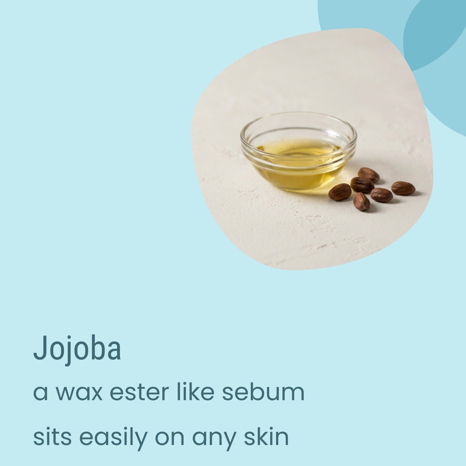 A small glass bowl filled with yellow Core Balanced Everyday Moisturiser by Biotaderm is shown alongside several brown jojoba seeds on a light surface, with descriptive text highlighting how this plant-based oil delivers ideal hydration for balanced skin thanks to jojoba’s natural compatibility.