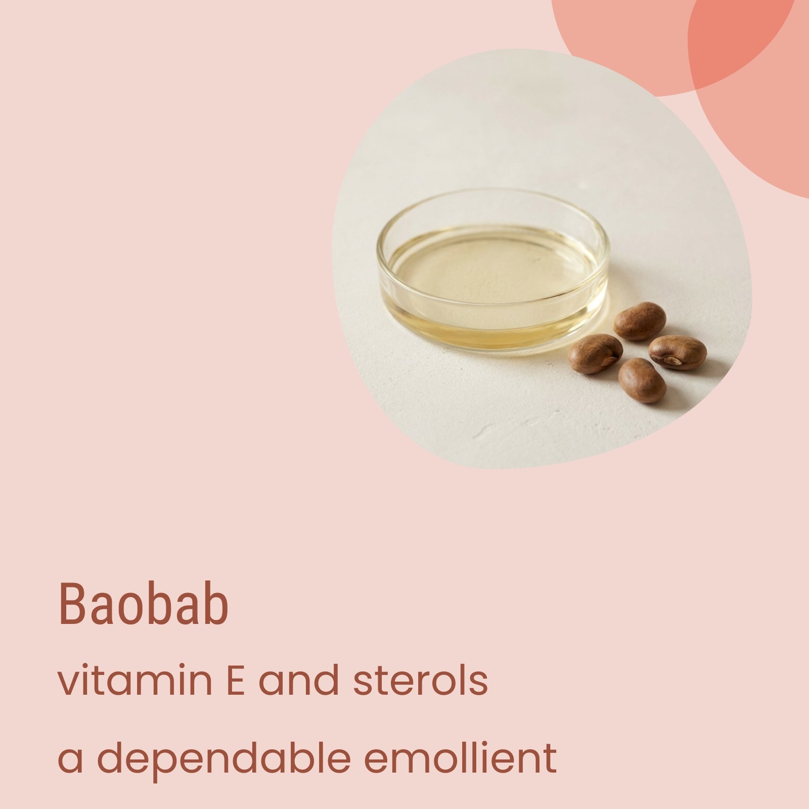 A small glass dish with light oil and four baobab seeds on a pale surface. Text reads: “Biotaderm Core Dry Everyday Moisturiser—featuring baobab, vitamin E, and sterols, a dependable emollient ideal for dry skin hydration.”.