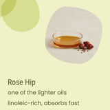 A small glass dish containing Biotaderm’s Core Oily Everyday Moisturiser, enriched with nourishing rose hip oil, sits next to whole rose hips on a light surface, accompanied by text highlighting its moisturising properties.