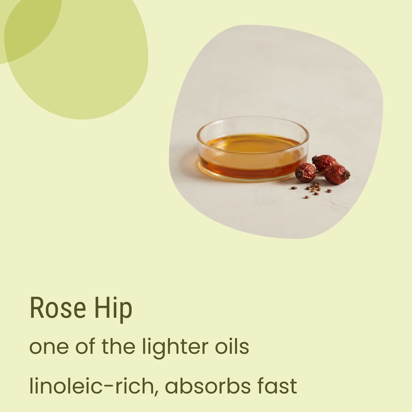 A small glass dish containing Biotaderm’s Core Oily Everyday Moisturiser, enriched with nourishing rose hip oil, sits next to whole rose hips on a light surface, accompanied by text highlighting its moisturising properties.