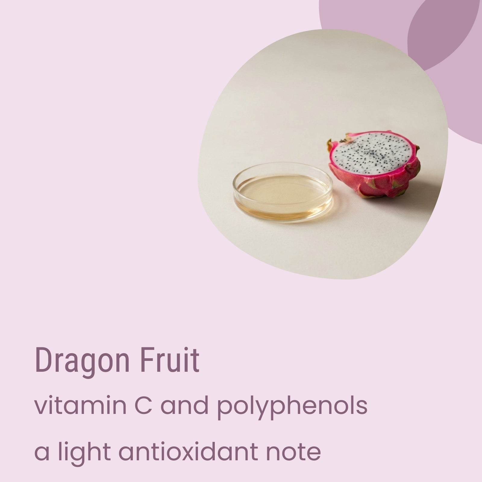 A halved dragon fruit and a petri dish rest on a light surface. Below, text highlights vitamin C, polyphenols, and gentle antioxidant benefits—perfect inspiration for Biotaderm’s Core Oily Sensitive Everyday Moisturiser. Enriched with plant oils, this formula is designed to nourish even oily, sensitive skin.