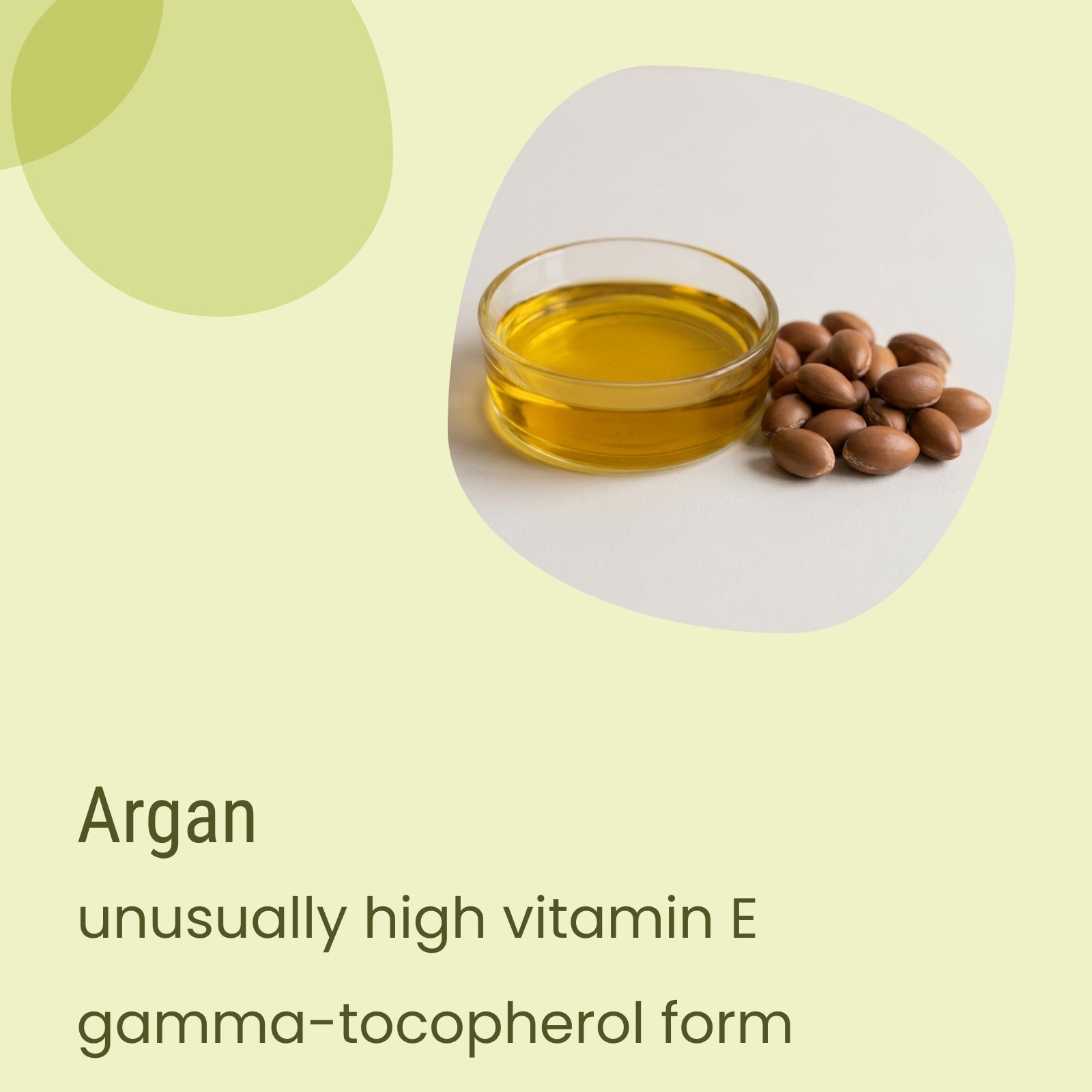 A small glass bowl filled with Biotaderm Deep Oily Rich Moisturiser, featuring argan oil renowned for its rich texture, is placed beside a pile of argan nuts on a light surface, with text emphasizing its high vitamin E content.
