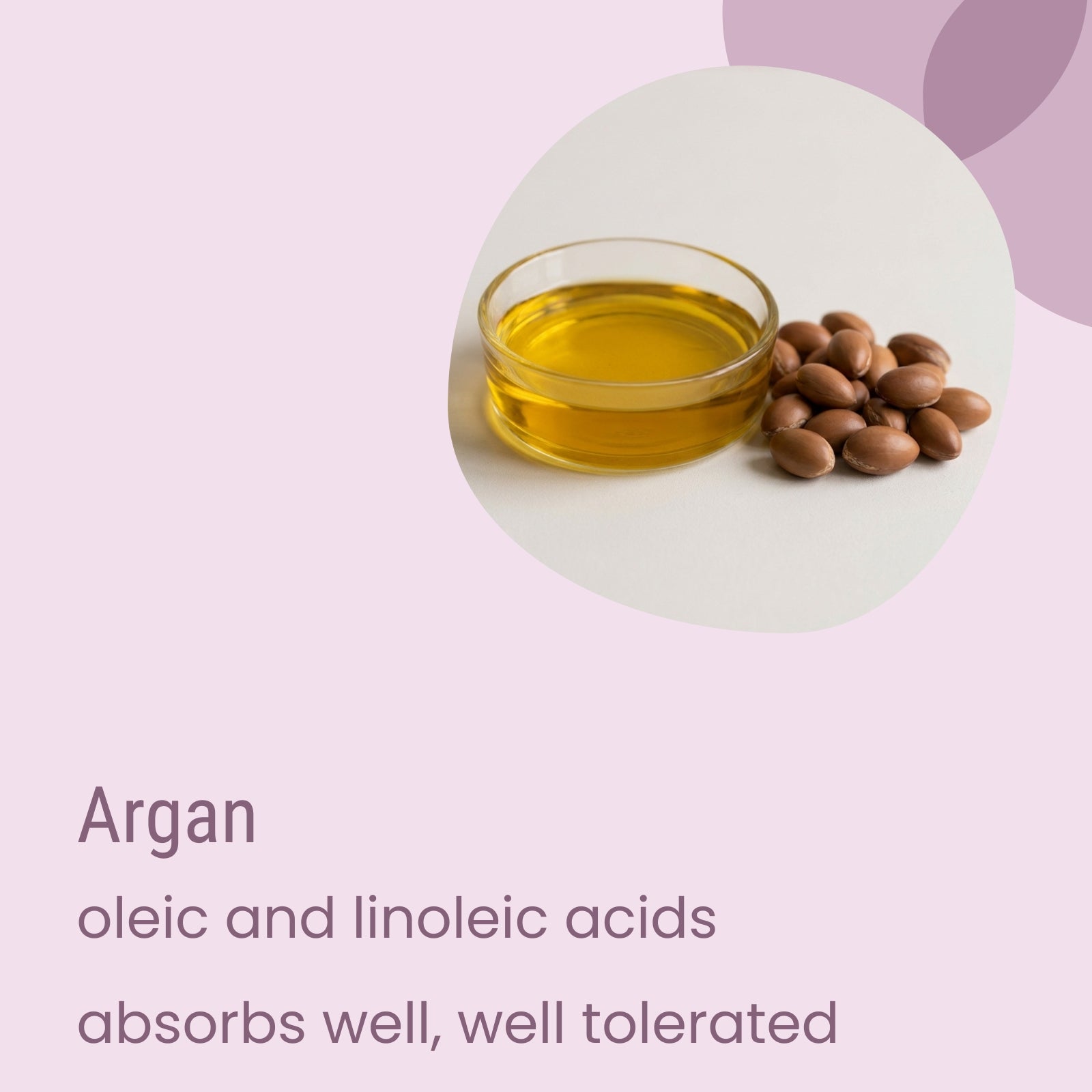 A small glass bowl of Biotaderm’s Deep Oily Sensitive Rich Moisturiser is displayed beside argan nuts on a light purple background, emphasizing its excellent absorption and gentle formula—making it perfect for hand creams and especially suitable for oily, sensitive skin.