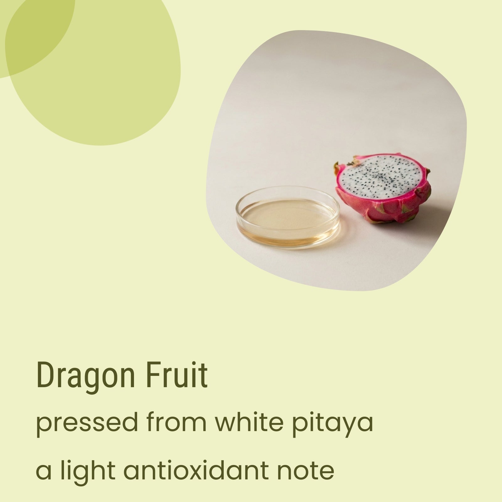 A halved white dragon fruit and a petri dish with liquid are displayed on a light background, alongside text highlighting a subtle antioxidant note—perfect inspiration for Biotaderm’s Flow Oily Light Moisturiser, a fast-absorbing facial moisturiser with plant oils specially formulated for oily skin.
