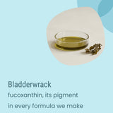 A petri dish with green liquid and a piece of dried bladderwrack seaweed on a light surface, accompanied by information about fucoxanthin—an effective ingredient found in many plant oils that helps support balanced skin and is included in Biotaderm’s Core Balanced Everyday Moisturiser.