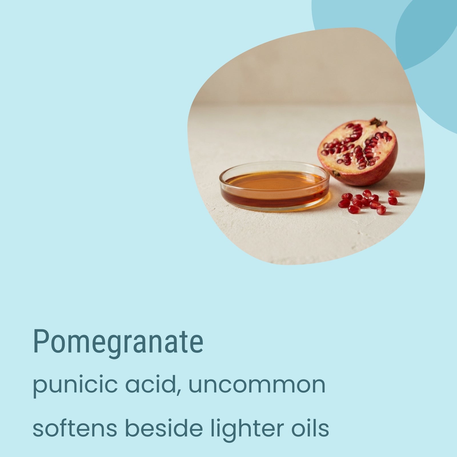 A glass dish of Biotaderm’s Deep Balanced Rich Moisturiser, enriched with pomegranate oil renowned for its unique punicic acid, sits next to a halved pomegranate and scattered seeds on a light surface. Its luxuriously rich texture makes it ideal for nourishing dry skin areas.