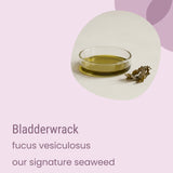A clear dish containing greenish oil and a piece of dried seaweed is displayed on a white surface; identified as bladderwrack (Fucus vesiculosus), this signature seaweed from Biotaderm is a key ingredient in their Deep Oily Sensitive Rich Moisturiser, valued for its nourishing plant oils that are especially beneficial for oily, sensitive skin.