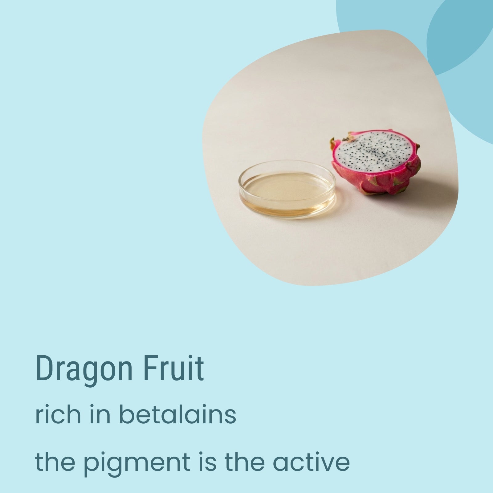 A halved dragon fruit and a shallow glass dish with liquid rest on a light surface. Text highlights that Biotaderm’s Flow Balanced Light Moisturiser features dragon fruit, rich in betalains—the active pigment component—along with nourishing plant oils prized for promoting balanced, healthy skin.