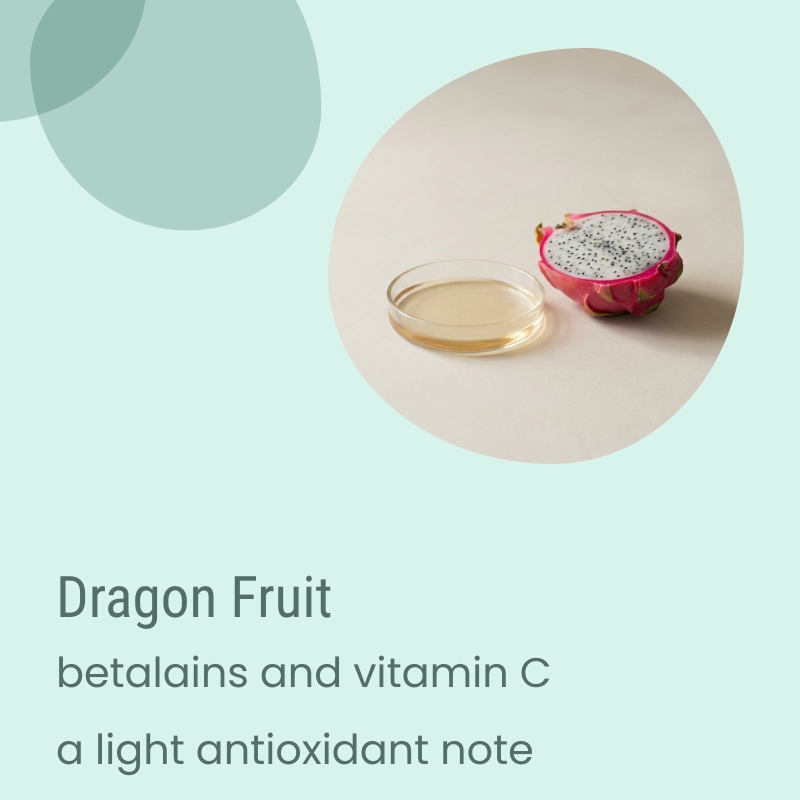 A halved dragon fruit and a glass dish with liquid rest on a light surface, accompanied by text highlighting Flow Dry Sensitive Light Moisturiser from Biotaderm—an effective body moisturiser enriched with plant oils to benefit dry, sensitive skin and antioxidant-rich ingredients.