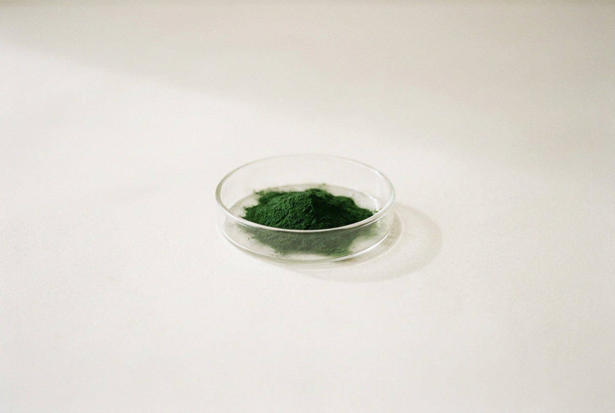 Chlorella vulgaris, the green microalga grown for the microbiome active in every formula.