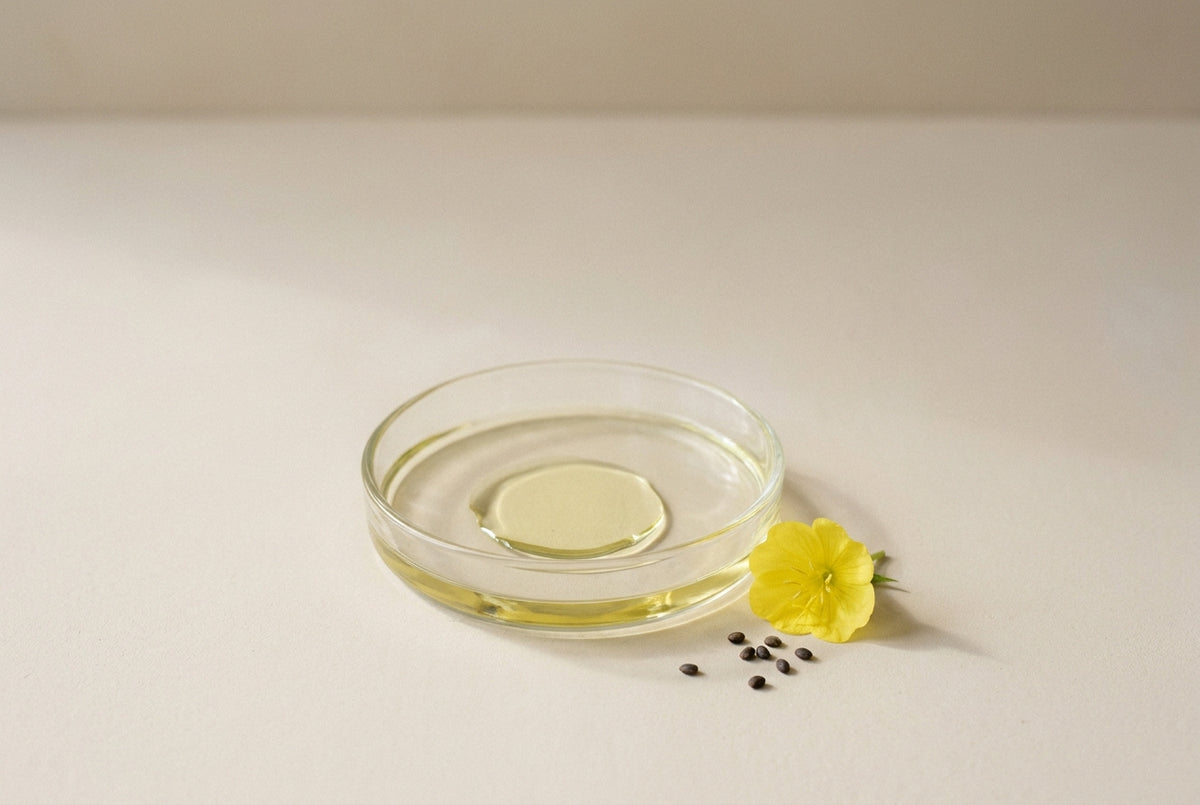 Evening primrose oil, cold-pressed from the seed of Oenothera biennis.