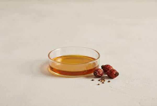 Rose hip seed oil, cold-pressed from the seed of the wild rose, Rosa canina.