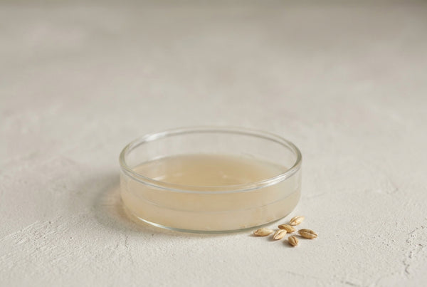 Barley, fermented for gin, then upcycled into the postbiotic in every formula.