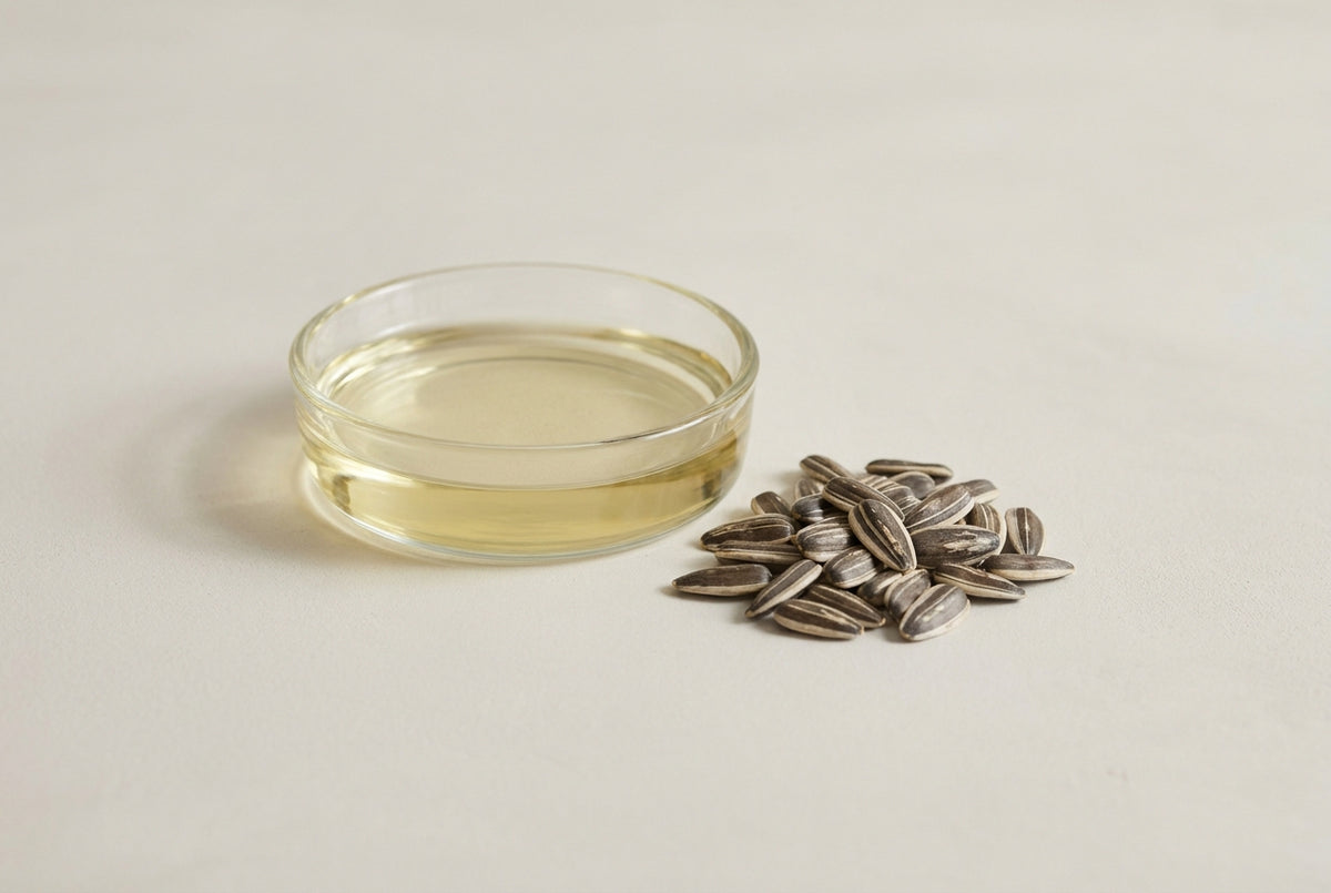 Sunflower seed oil, the light carrier oil that runs through every formula.